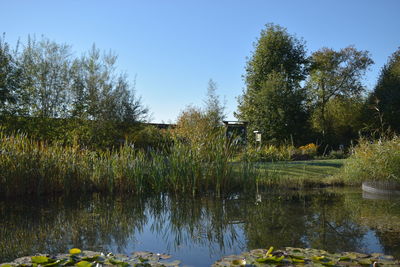 Scenic view of lake against clear sky