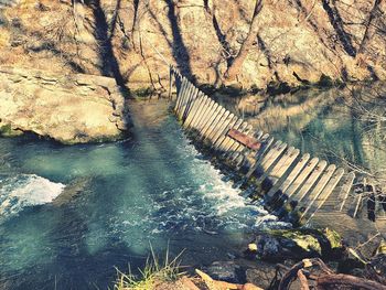 Scenic view of river in forest