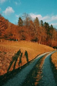 Shadow of people and dog on dried grass by footpath during autumn