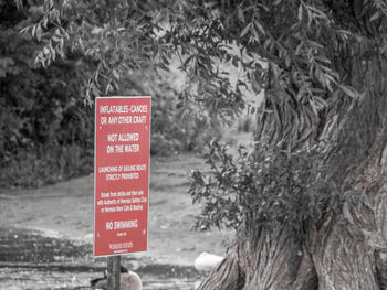 Information sign on tree