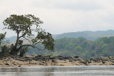 Canoe trip in the lopé national park on the ougooué river. a protected site in gabon, unesco.