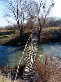 Scenic view of river in forest against sky