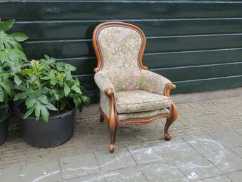 Potted plant on chair