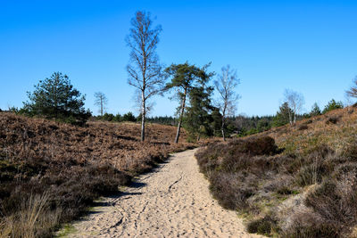 Dirt road amidst field against clear blue sky