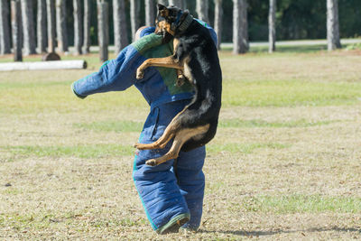 Man with horse on field