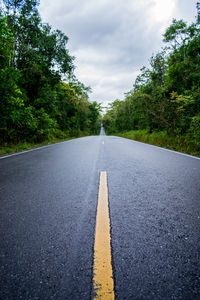 Surface level of road amidst trees against sky