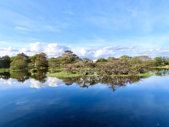 Reflection of trees in lake against blue sky