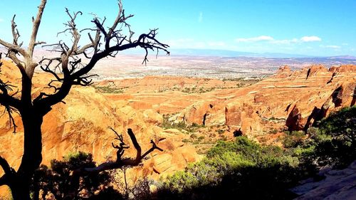 View of trees on rock against cloudy sky