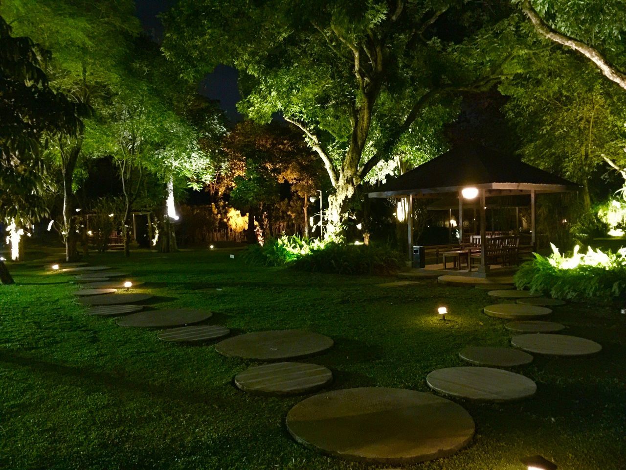 tree, illuminated, night, park - man made space, grass, street light, lighting equipment, green color, growth, pond, fountain, nature, reflection, tranquility, lawn, water, sunlight, outdoors, park, glowing