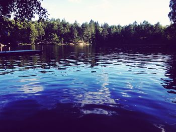 Reflection of trees in water