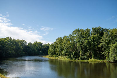 Scenic view of lake in forest against sky
