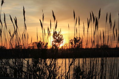 Sunset over lake