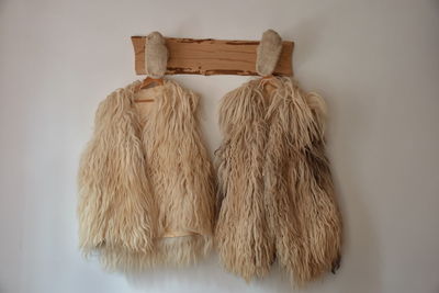Close-up of fur hanging on wall