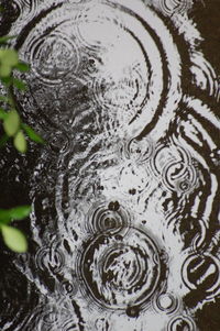 Close-up of pattern on wall