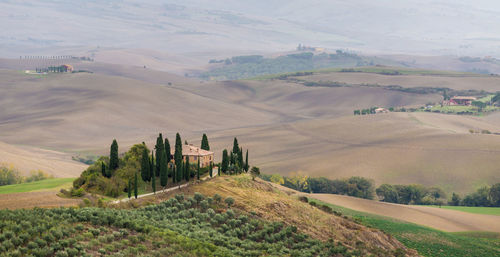 High angle view of agricultural landscape