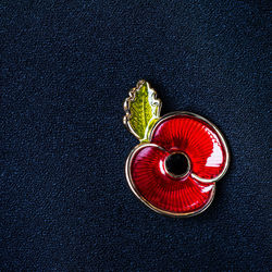 High angle view of red berries on table