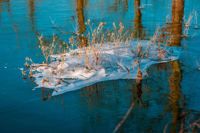 Flooded fields at reihn near düsseldorf in germany.