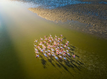 High angle view of beach