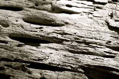 Full frame shot of wooden wall