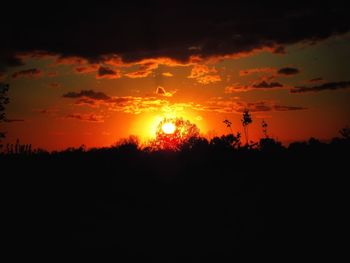 Silhouette trees against dramatic sky during sunset