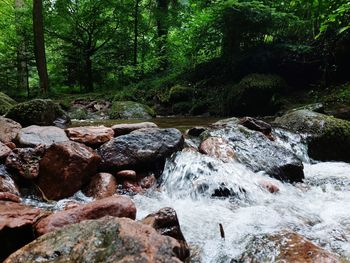 Stream flowing through rocks in forest