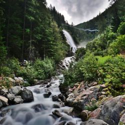 Stream flowing through rocks in forest