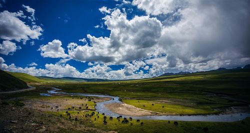 Scenic view of landscape against cloudy sky