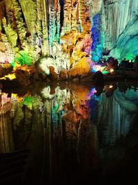 Close-up of reflection of trees