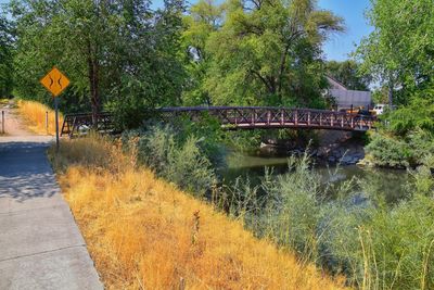 Bridge over river against trees