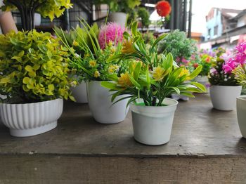 Close-up of potted plants on table