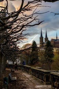 View of trees in city