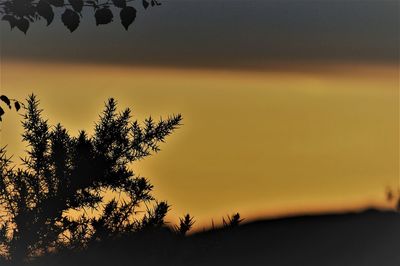Silhouette trees against sky during sunset