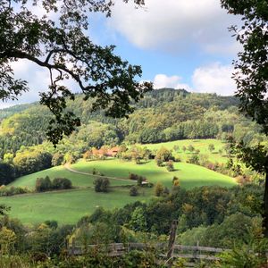 Scenic view of trees on field against sky