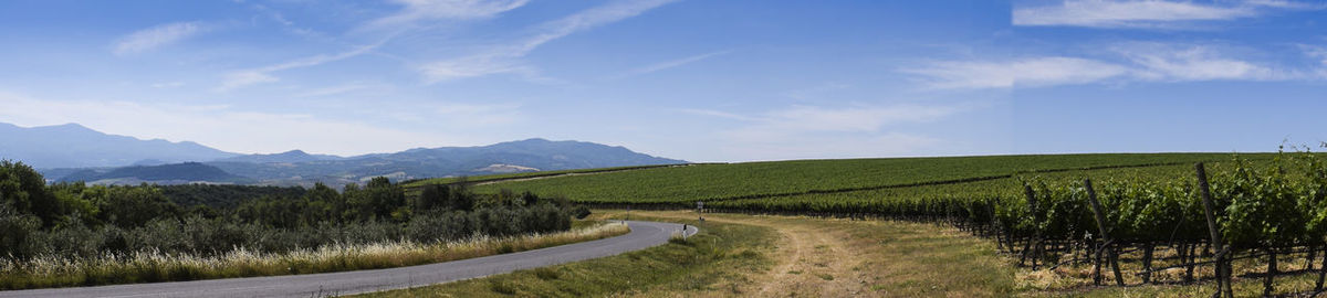 Road amidst field against sky