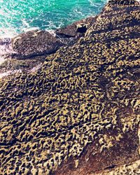 Full frame shot of sea shore