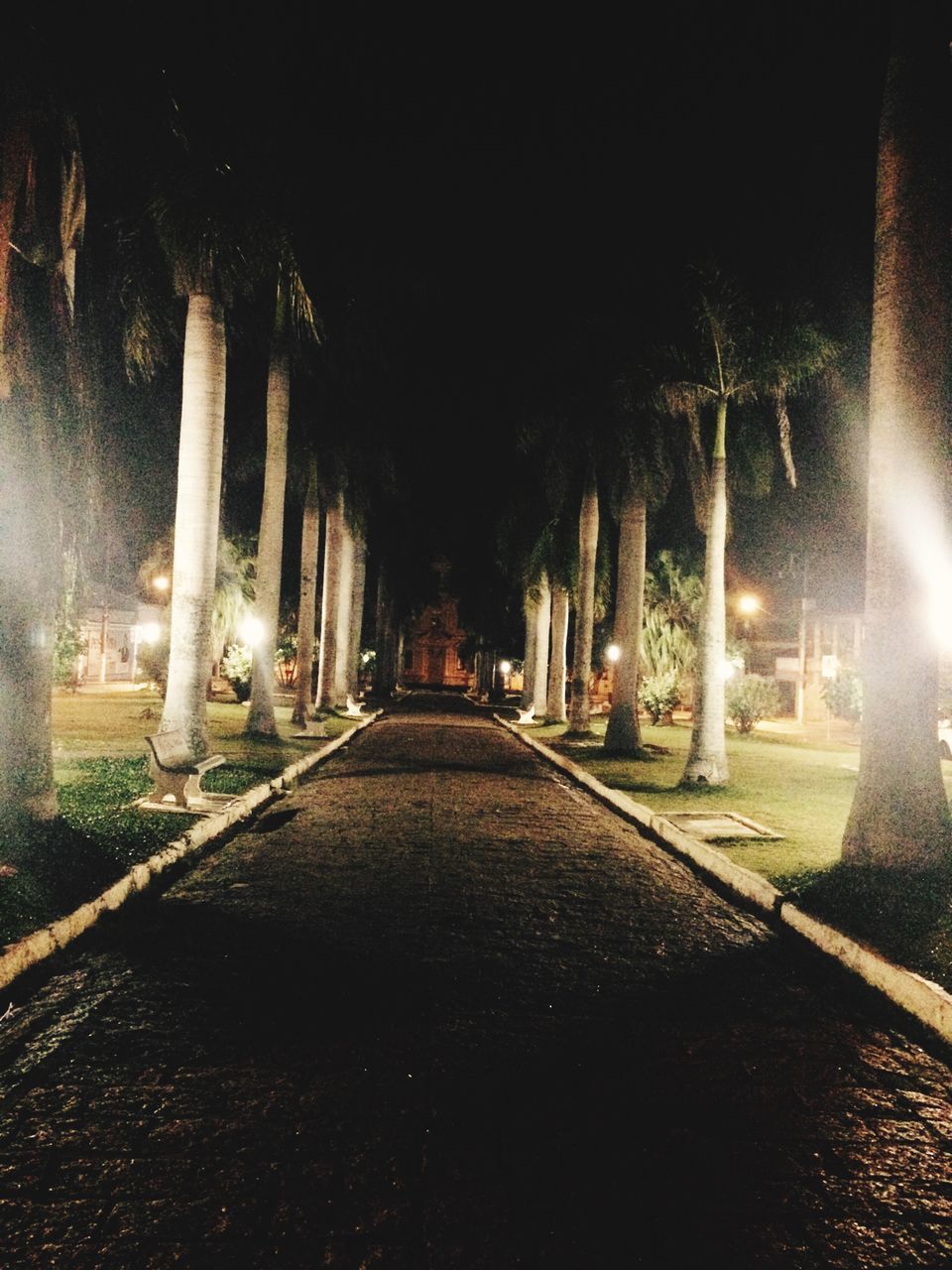 the way forward, built structure, architecture, architectural column, diminishing perspective, in a row, night, illuminated, tree, column, history, vanishing point, indoors, colonnade, sunlight, no people, empty, building exterior, footpath