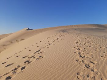 Sand dunes of algeria desert