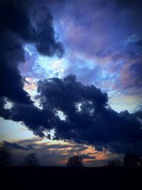 Silhouette of trees at sunset