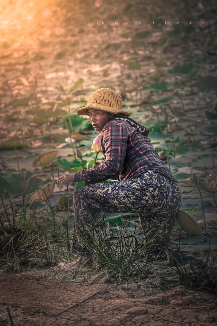 plant, focus on foreground, outdoors, day, chair, nature, sunlight, no people, growth, close-up, field, grass, wood - material, basket, wicker, tranquility, relaxation, hanging, absence, sitting