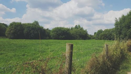 Scenic view of green landscape against sky