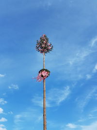 Low angle view of tree against blue sky