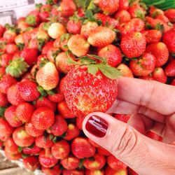 Close-up of strawberries for sale