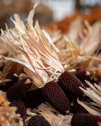 High angle view of berries on table