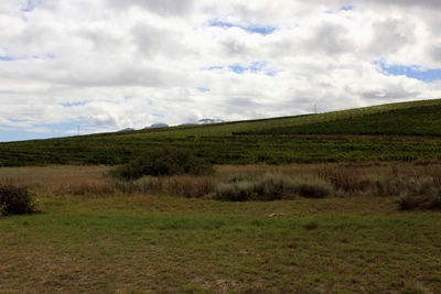 Scenic view of grassy field against cloudy sky