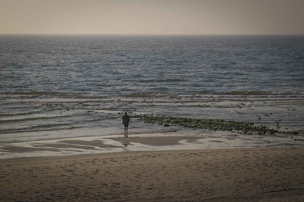 MAN STANDING ON BEACH AGAINST SKY