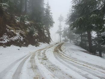 Snow covered road amidst trees