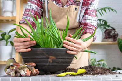 Midsection of woman holding potted plant