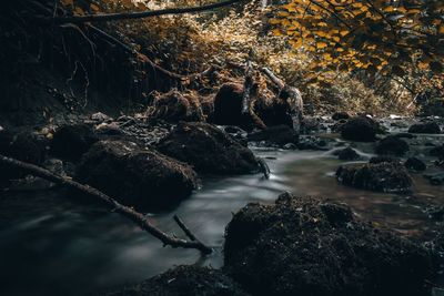 River flowing through rocks in forest