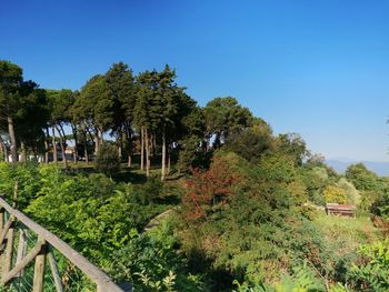 Trees on landscape against clear blue sky