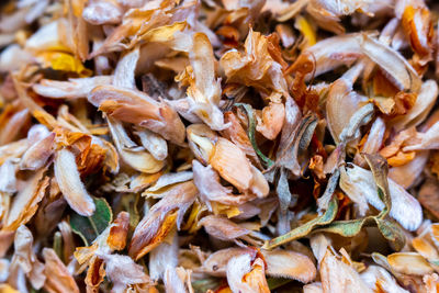 Full frame shot of dried leaves